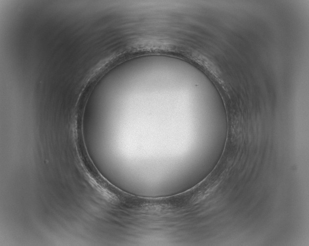 X0000072930629200608041217