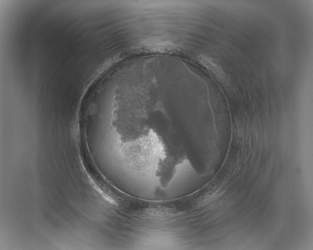 X0000072930630200608041217