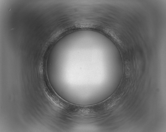 X0000072930631200608041217