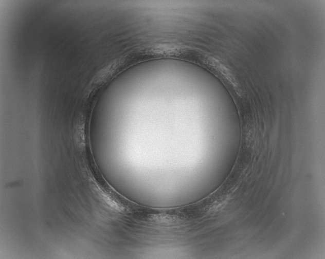 X0000072930633200608041217