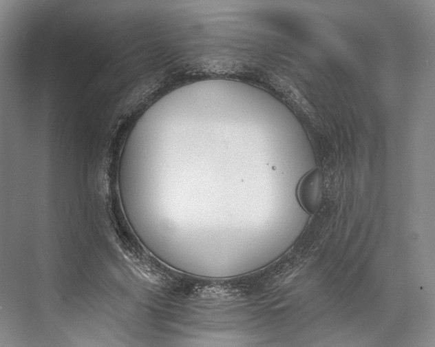 X0000072930635200608041217