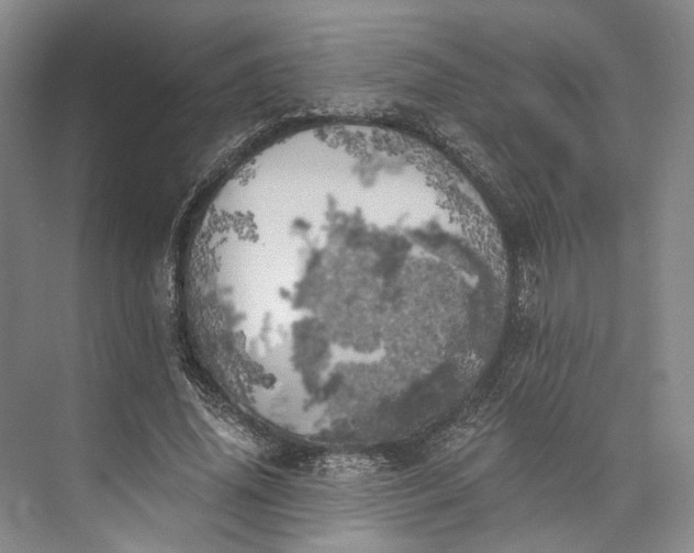 X0000072930636200608041217