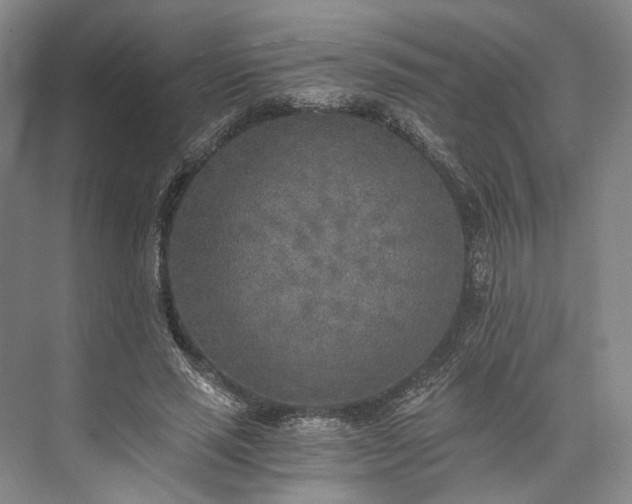 X0000072930637200608041217