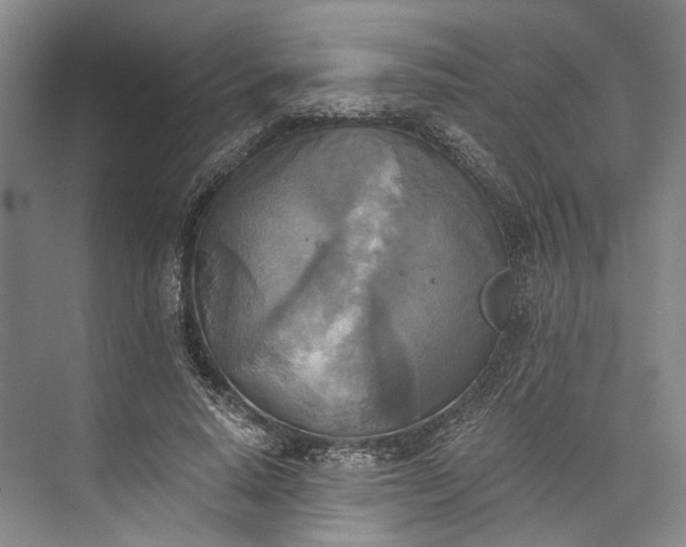 X0000072930640200608041217