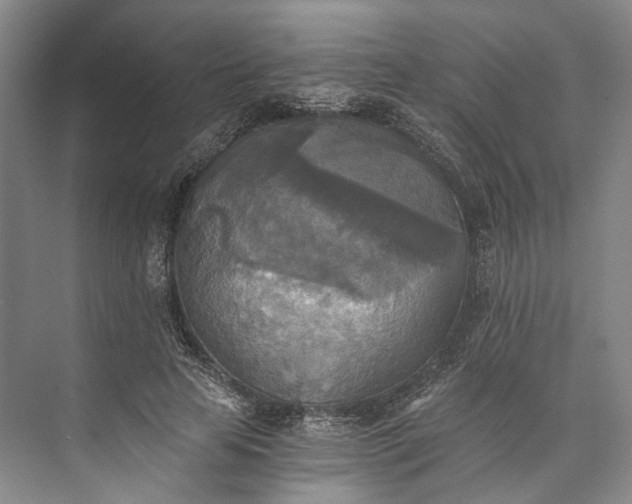 X0000072930641200608041217