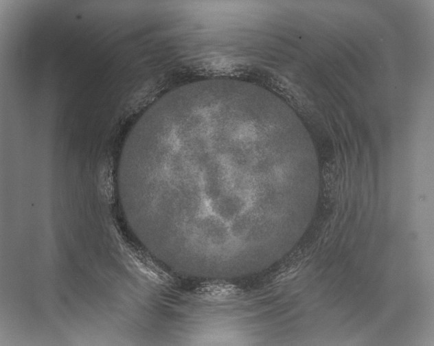 X0000072930642200608041217