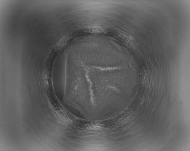 X0000072930643200608041217