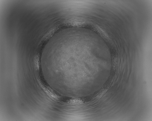 X0000072930644200608041217