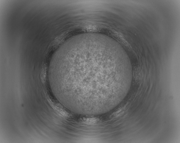 X0000072930645200608041217