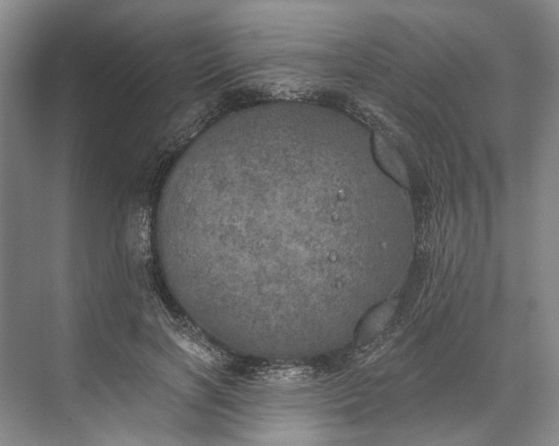 X0000072930646200608041217