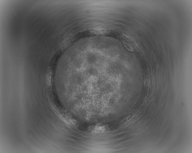 X0000072930647200608041217