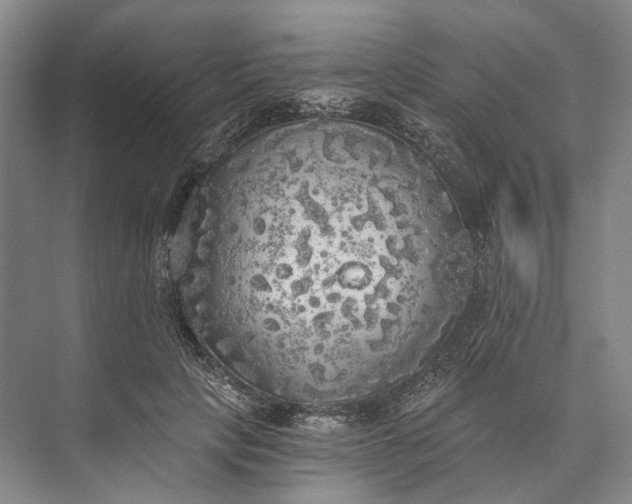 X0000072930649200608041217