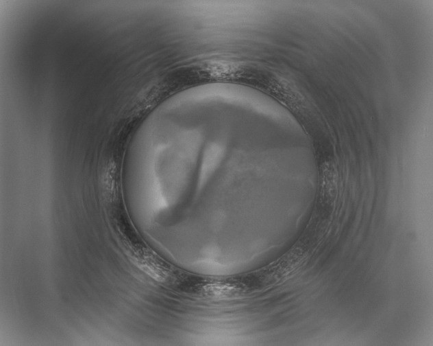 X0000072930650200608041217