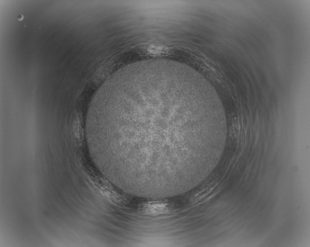 X0000072930651200608041217