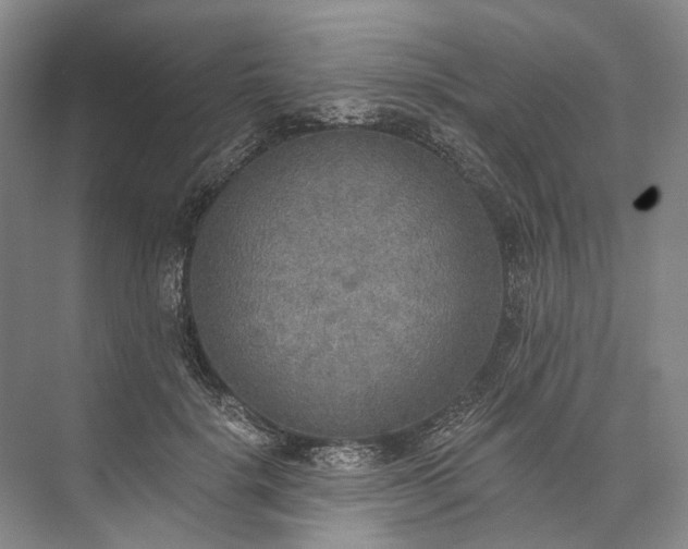 X0000072930652200608041217