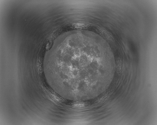 X0000072930653200608041217