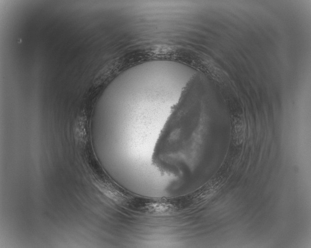 X0000072930654200608041217