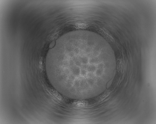 X0000072930655200608041217