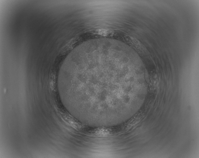 X0000072930656200608041217