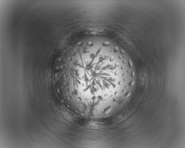 X0000072930657200608041217