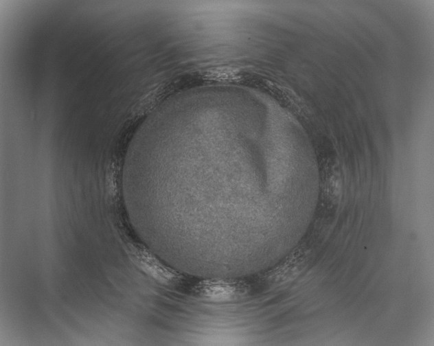 X0000072930658200608041217