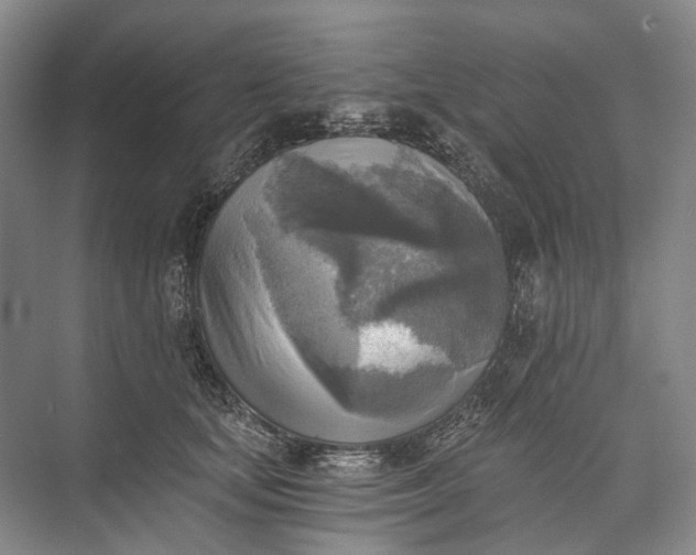 X0000072930659200608041217