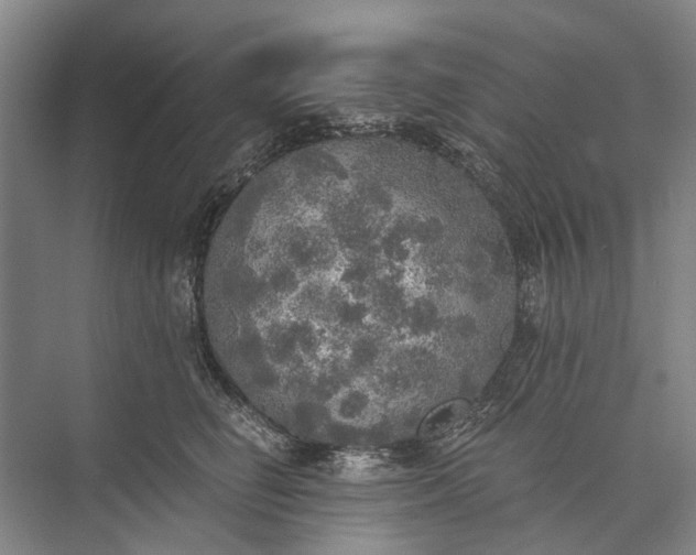 X0000072930662200608041217