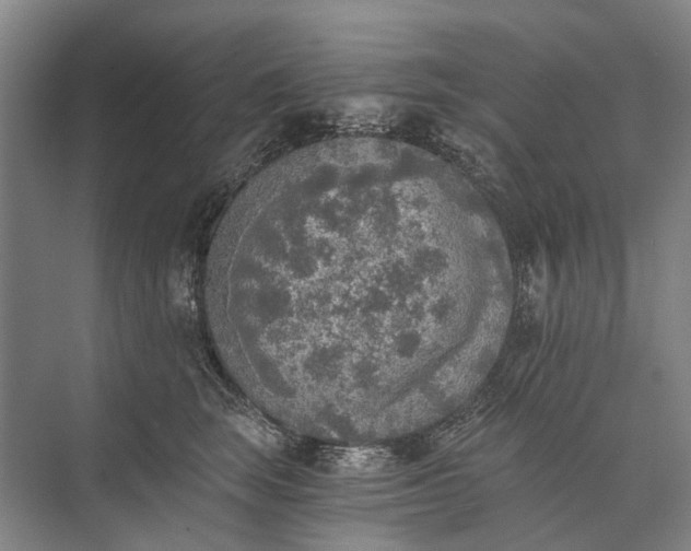 X0000072930663200608041217