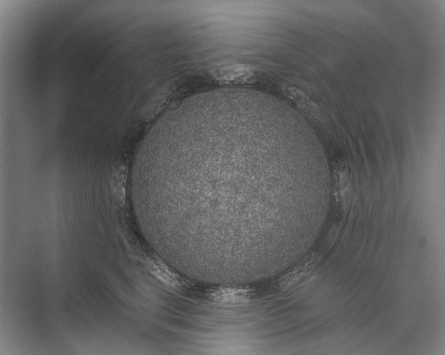 X0000072930664200608041217