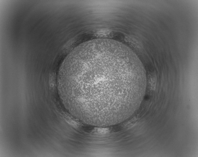 X0000072930665200608041217