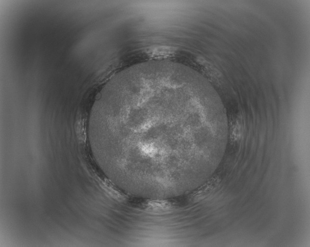 X0000072930666200608041217