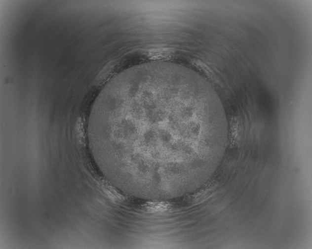 X0000072930667200608041217