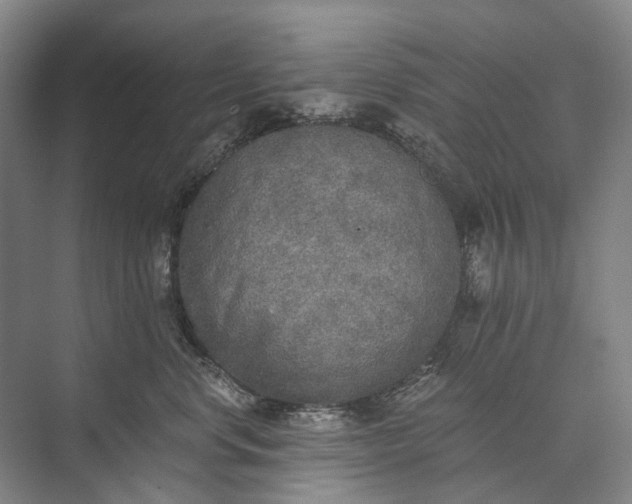 X0000072930668200608041217