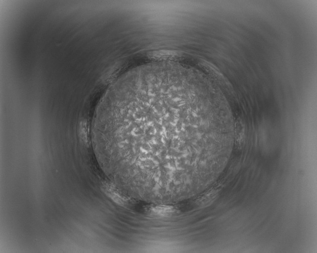 X0000072930669200608041217