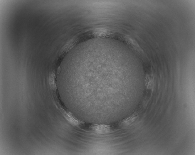 X0000072930670200608041217