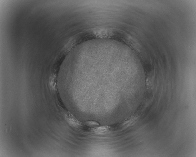 X0000072930671200608041217