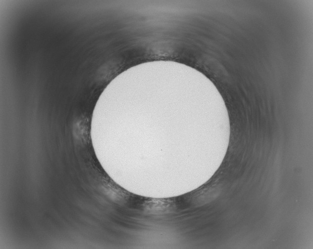 X0000072930672200608041217