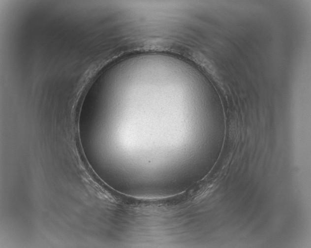 X0000072930673200608041217