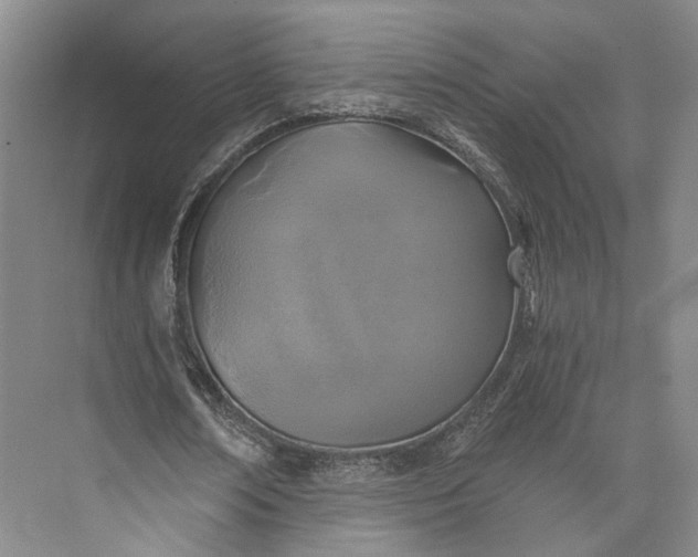 X0000072930674200608041217