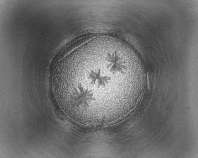 X0000072930675200608041217