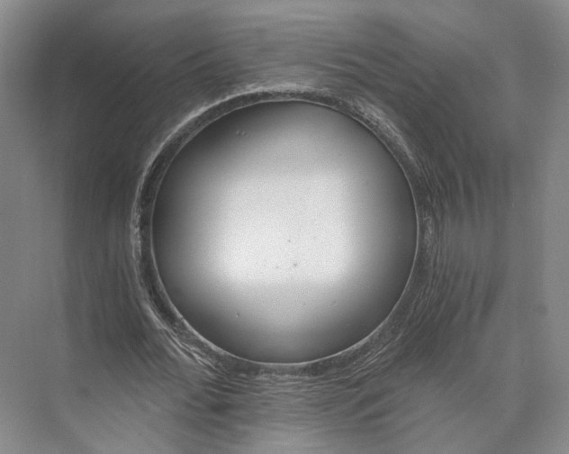 X0000072930676200608041217