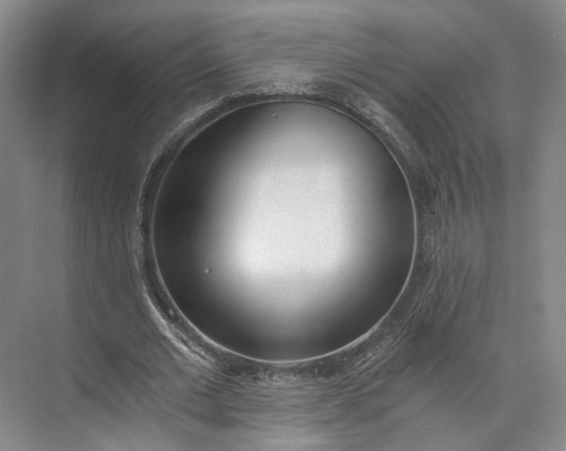 X0000072930677200608041217