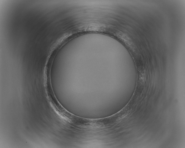 X0000072930678200608041217