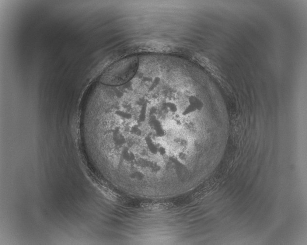 X0000072930679200608041217