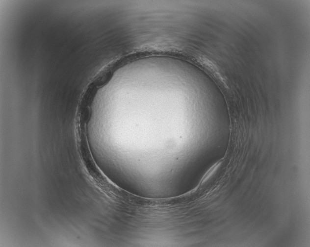 X0000072930680200608041216