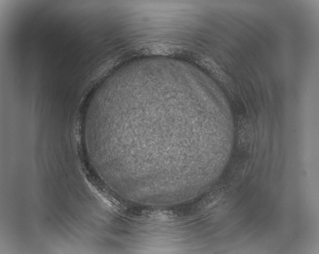 X0000072930683200608041216