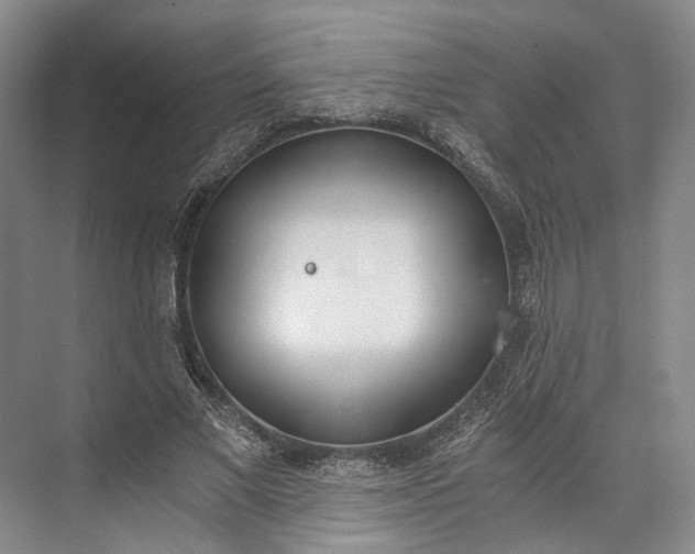 X0000072930685200608041216