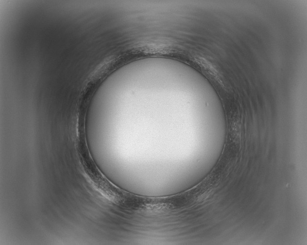 X0000072930686200608041216