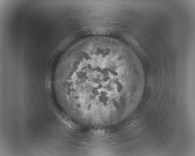 X0000072930687200608041216