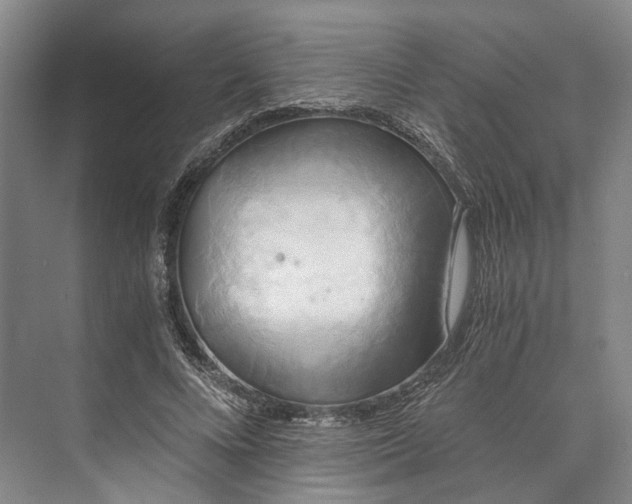 X0000072930688200608041216